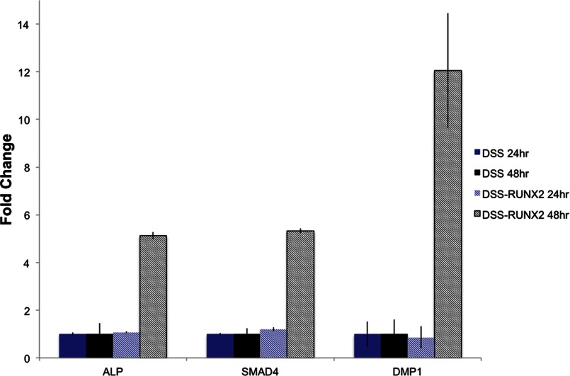 FIGURE 7.