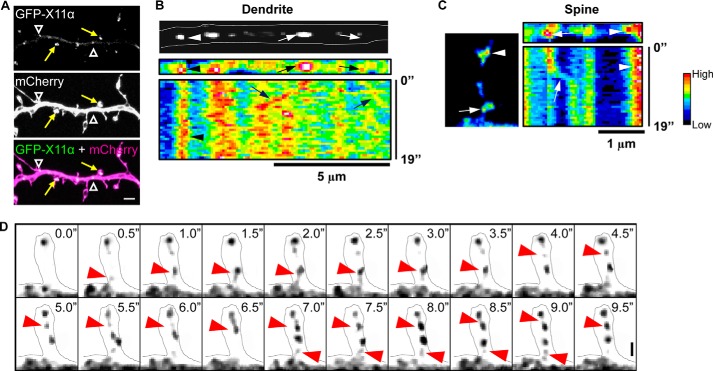 FIGURE 3.