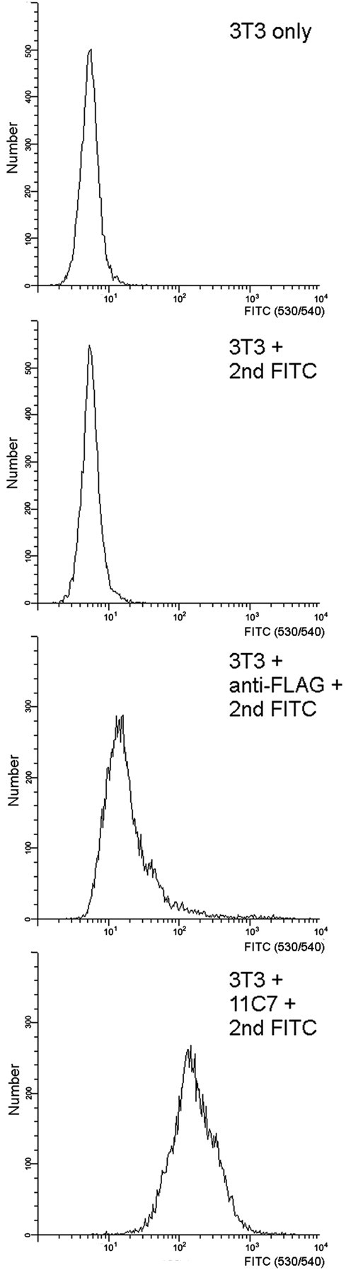 Figure 9.