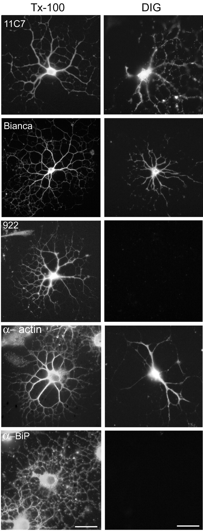 Figure 10.