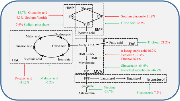 FIGURE 2