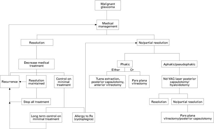 Figure 2  