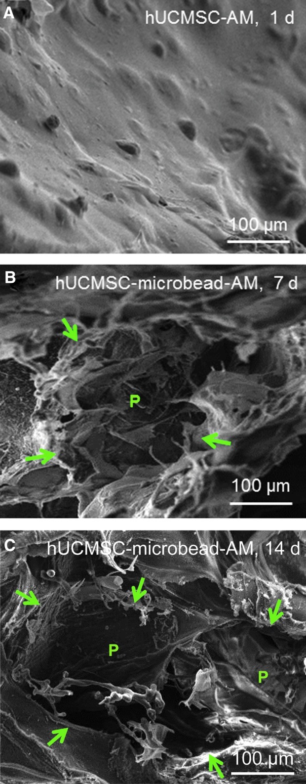 FIG. 6.