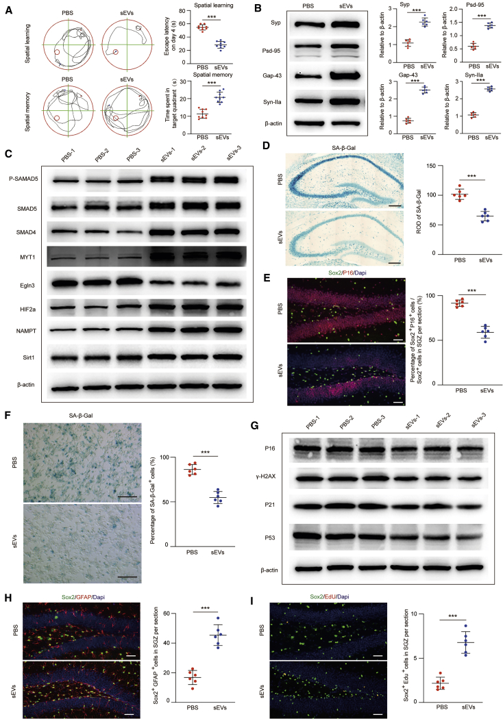 Figure 7