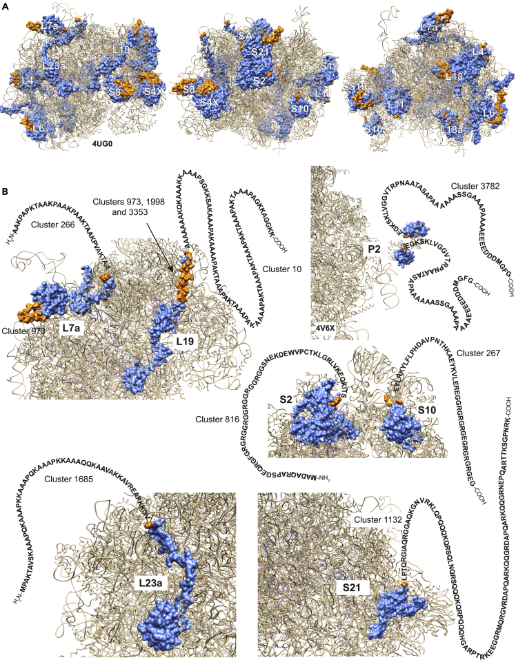 Figure 6