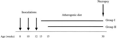 FIG. 1.