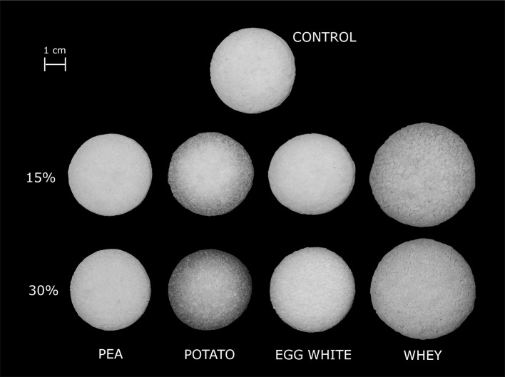 Fig. 2