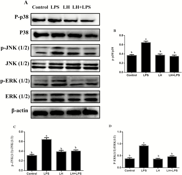 Figure 5.