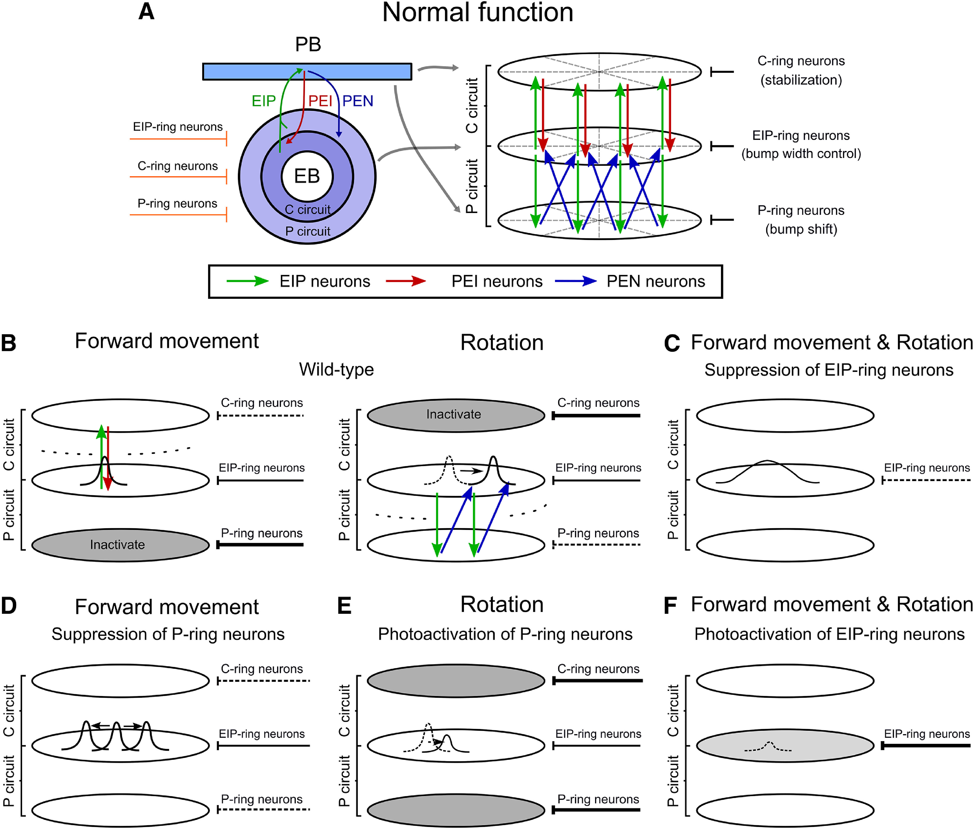 Figure 5.