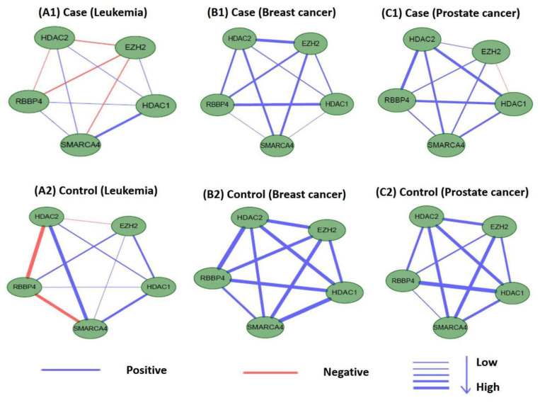 Figure 13