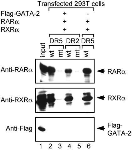 FIG. 9.