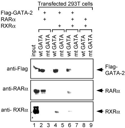 FIG. 5.