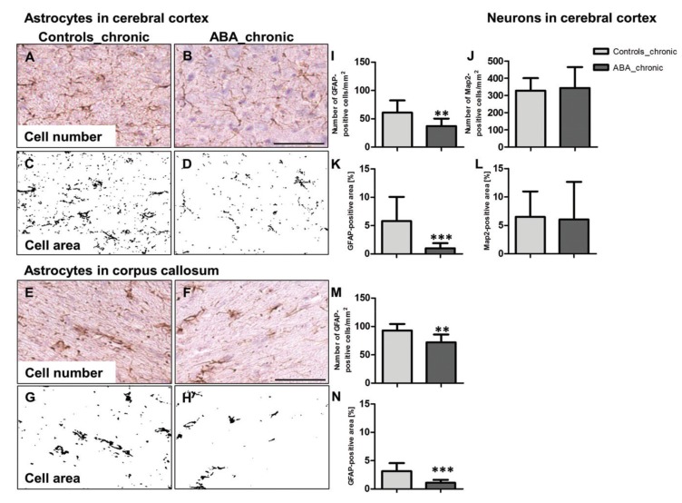 Fig. (4)