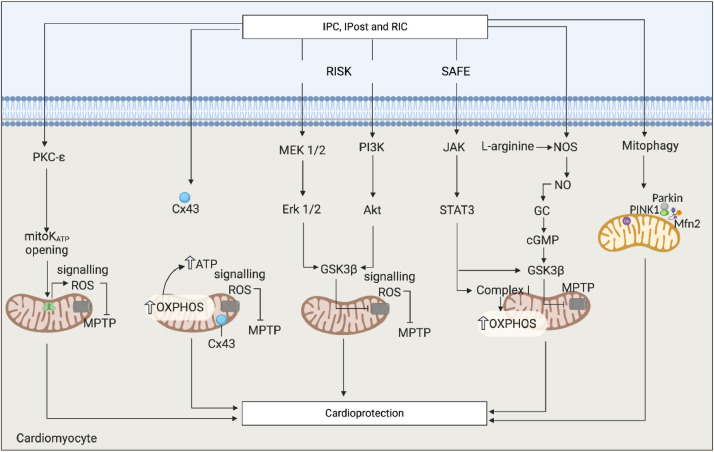 Fig. 3