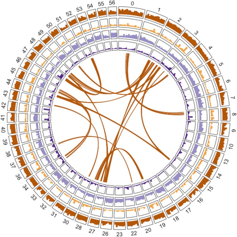 Fig. 3.