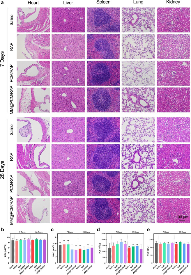 Fig. 9