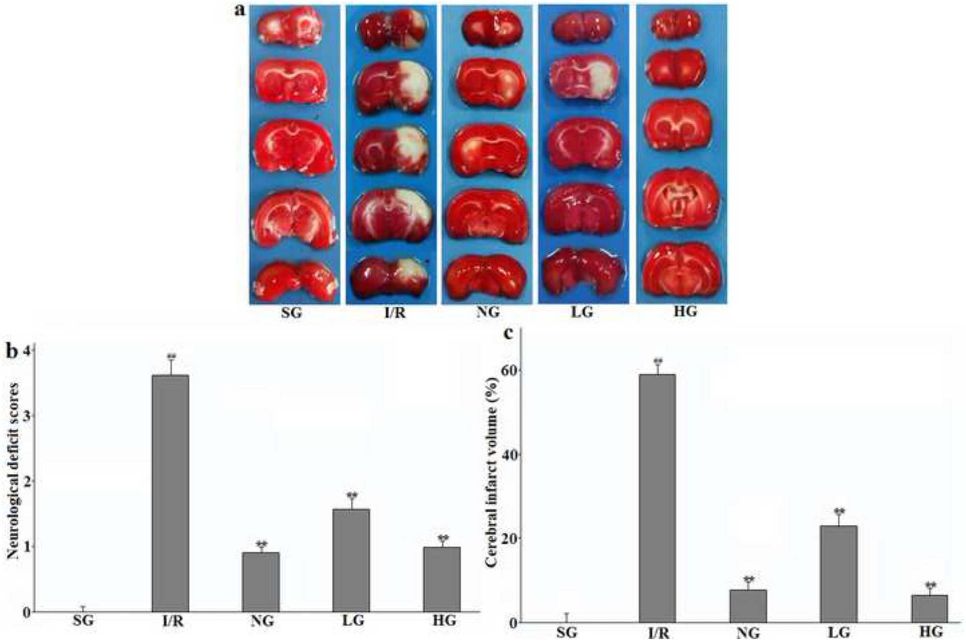 Figure 6: