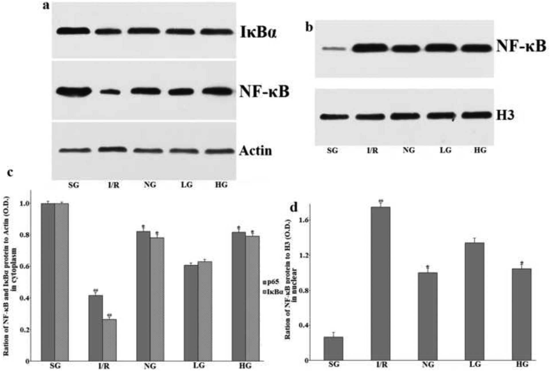 Figure 11: