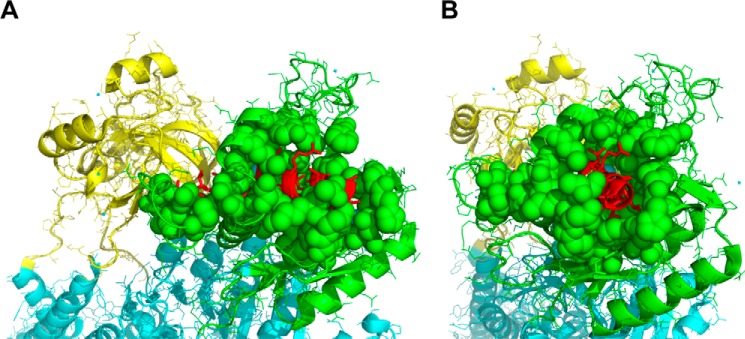 FIGURE 11.