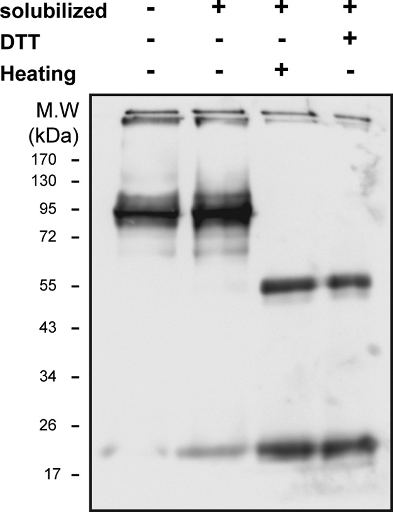 FIGURE 10.