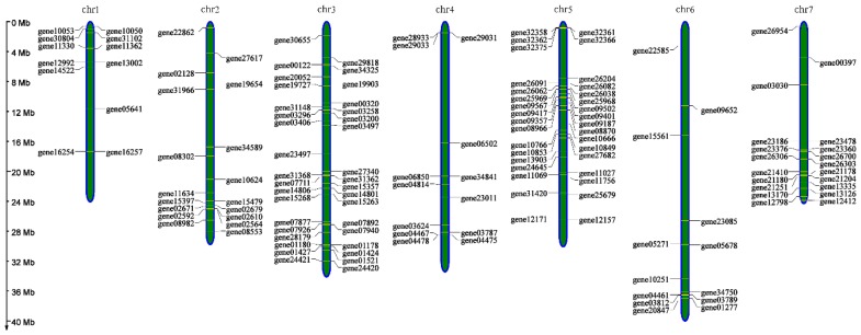 Figure 7