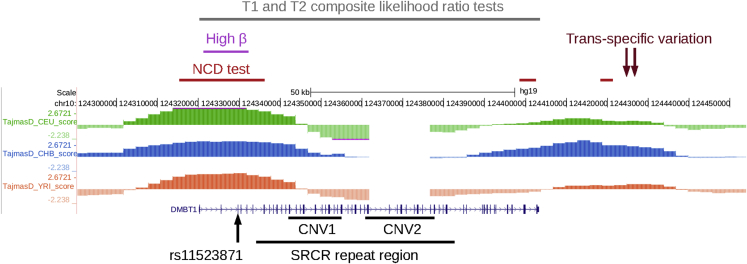 Figure 1