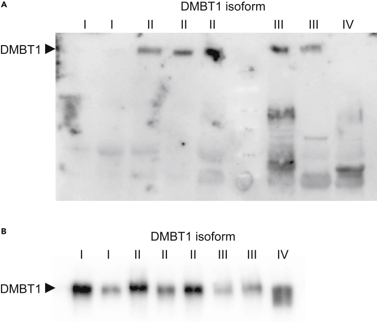 Figure 5