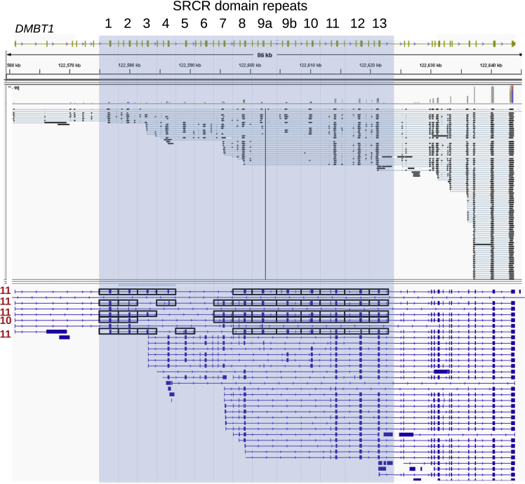 Figure 4