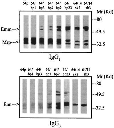 FIG. 1