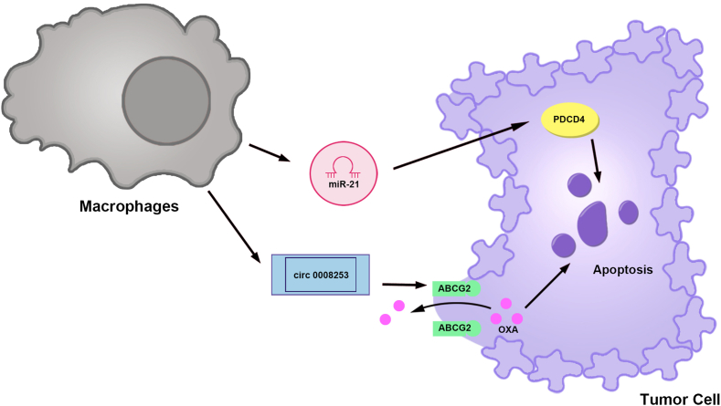 Fig. 14