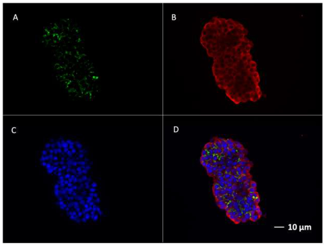 Figure 4.