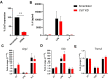 Figure 5—figure supplement 3.