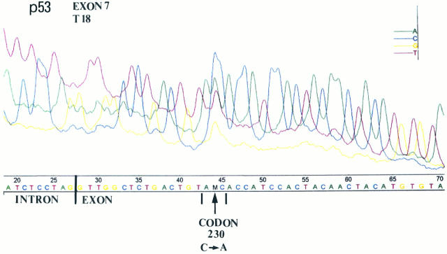 Figure 10.