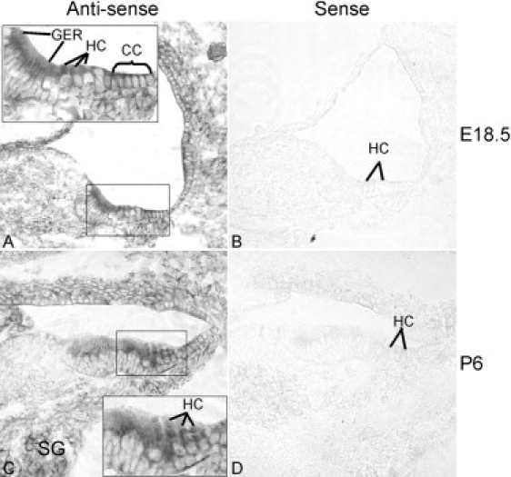 Figure 4