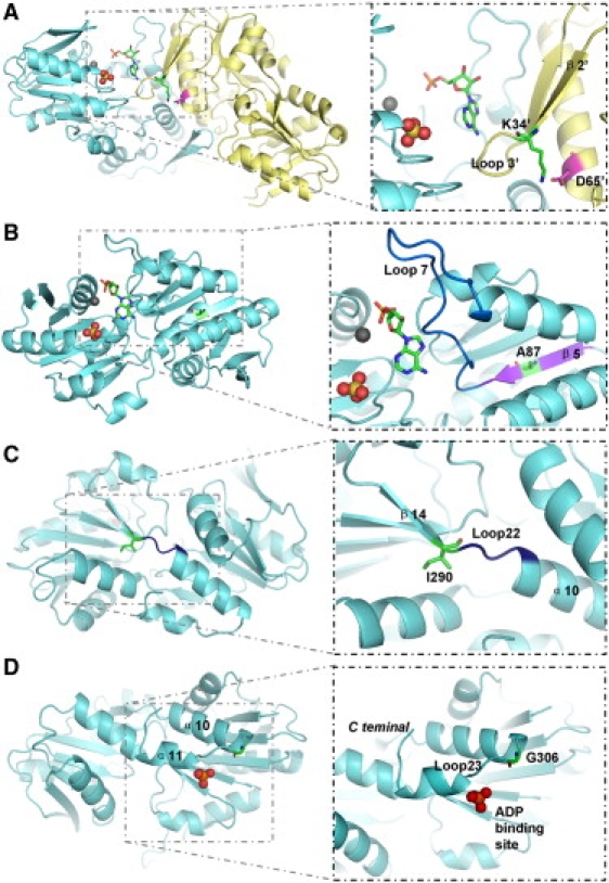 Figure 3