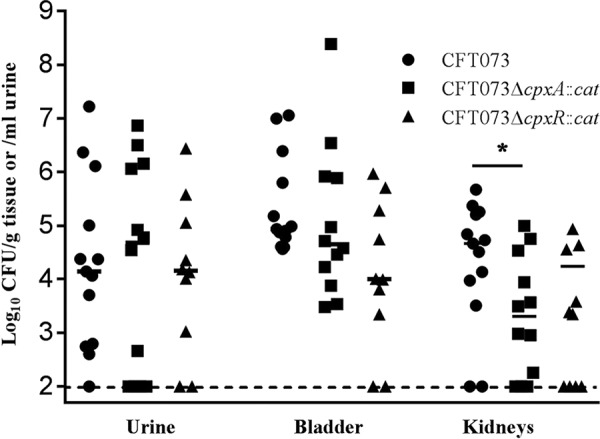 FIG 4