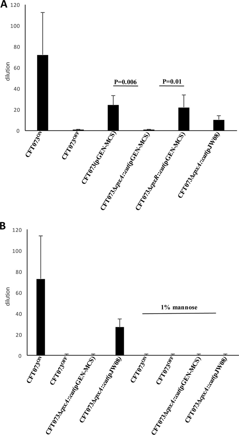 FIG 2