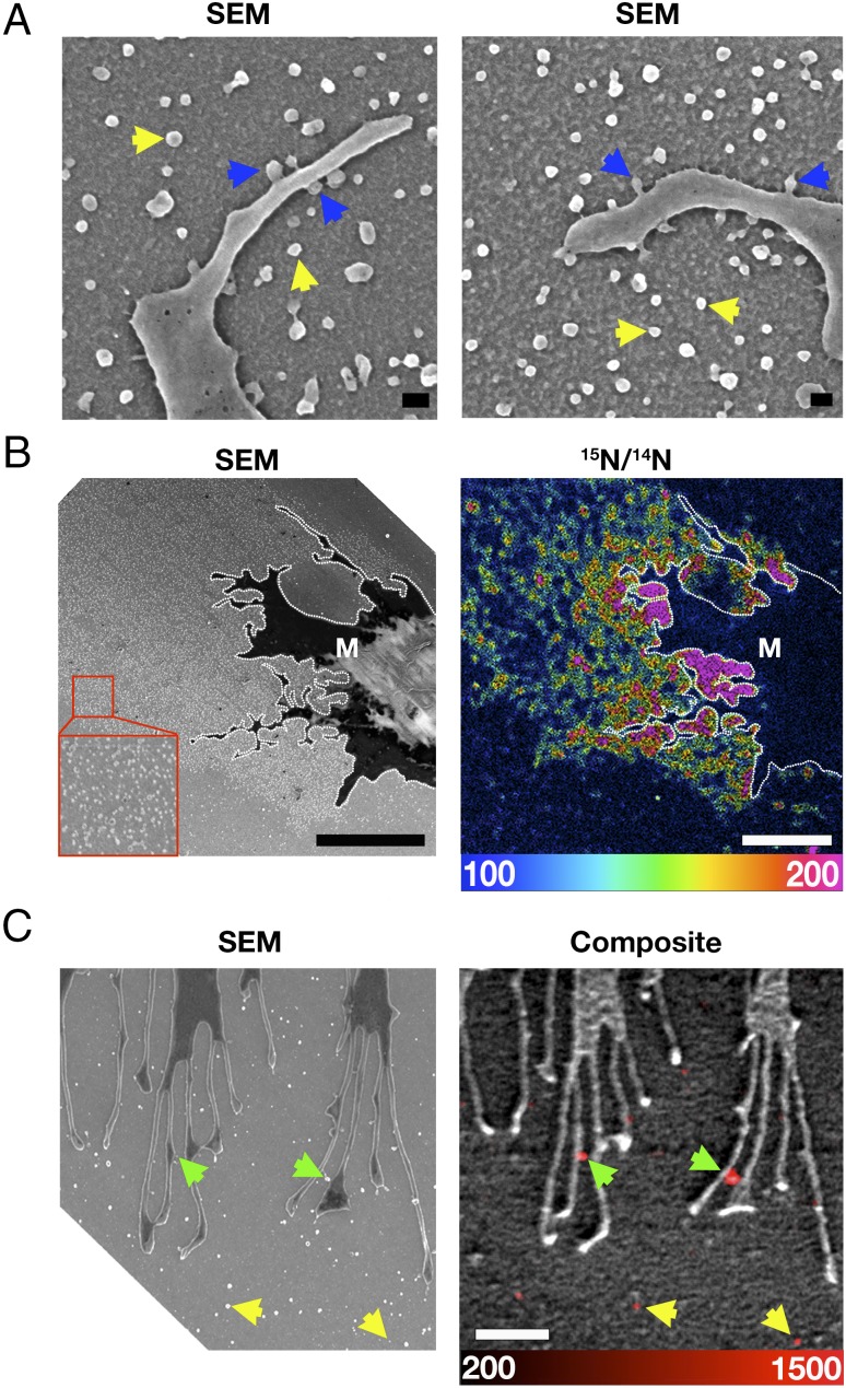 Fig. 4.