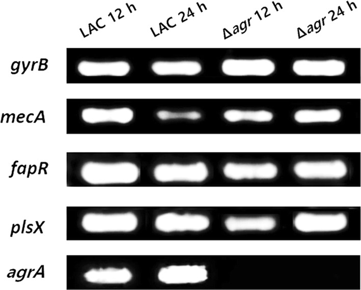 Fig. 6