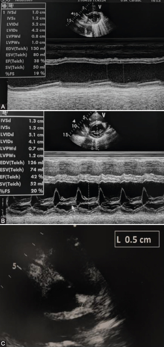 FIGURE 3