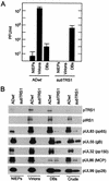 FIG. 8.