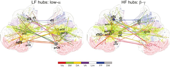 Figure 4—figure supplement 2.