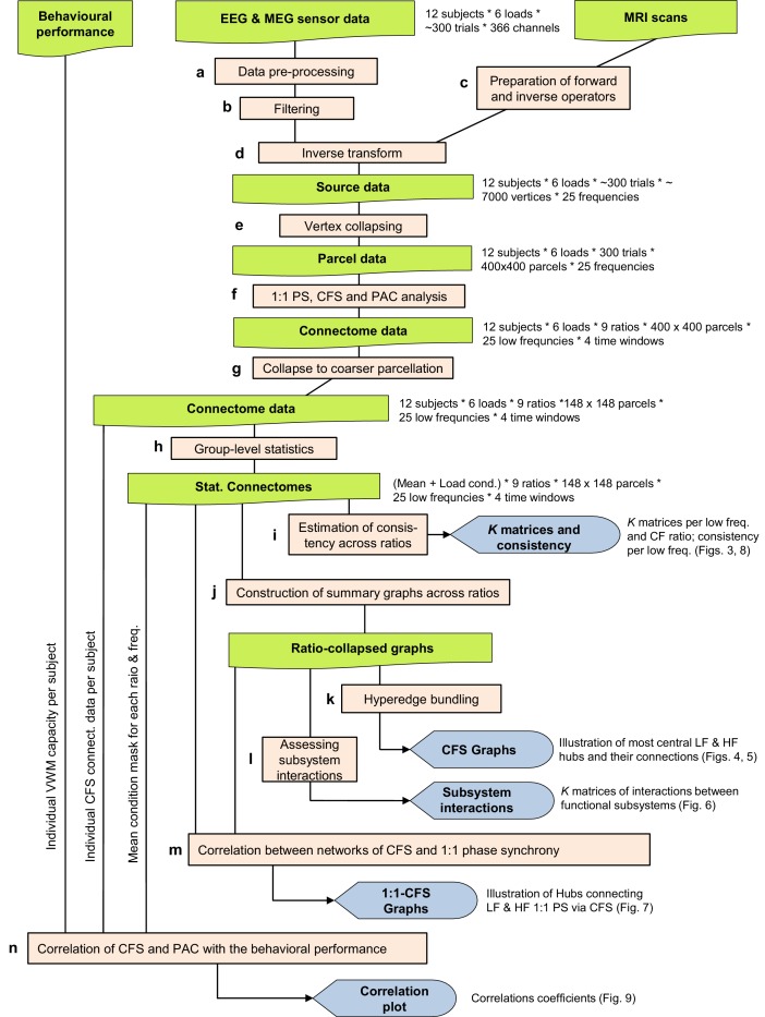 Figure 3—figure supplement 1.