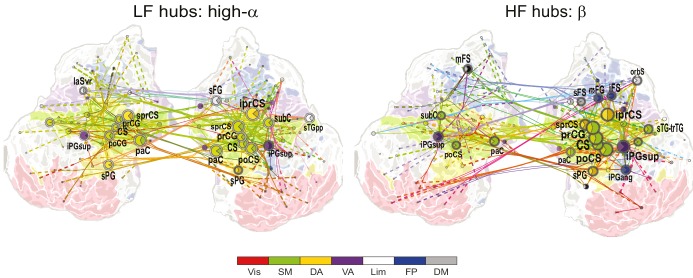 Figure 4—figure supplement 1.