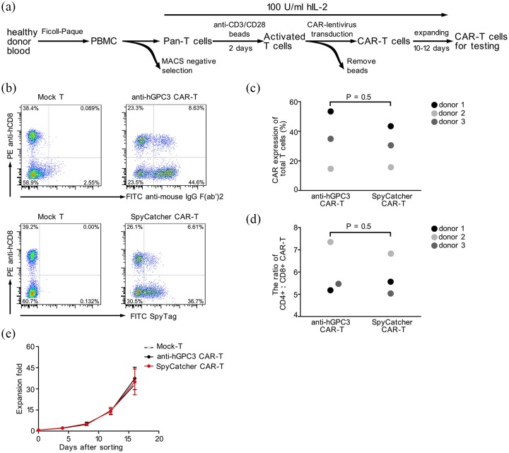 Figure 3.