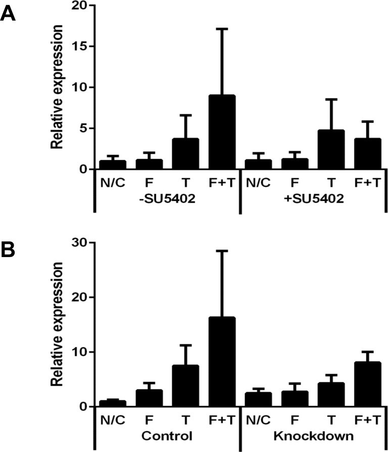 Fig 6