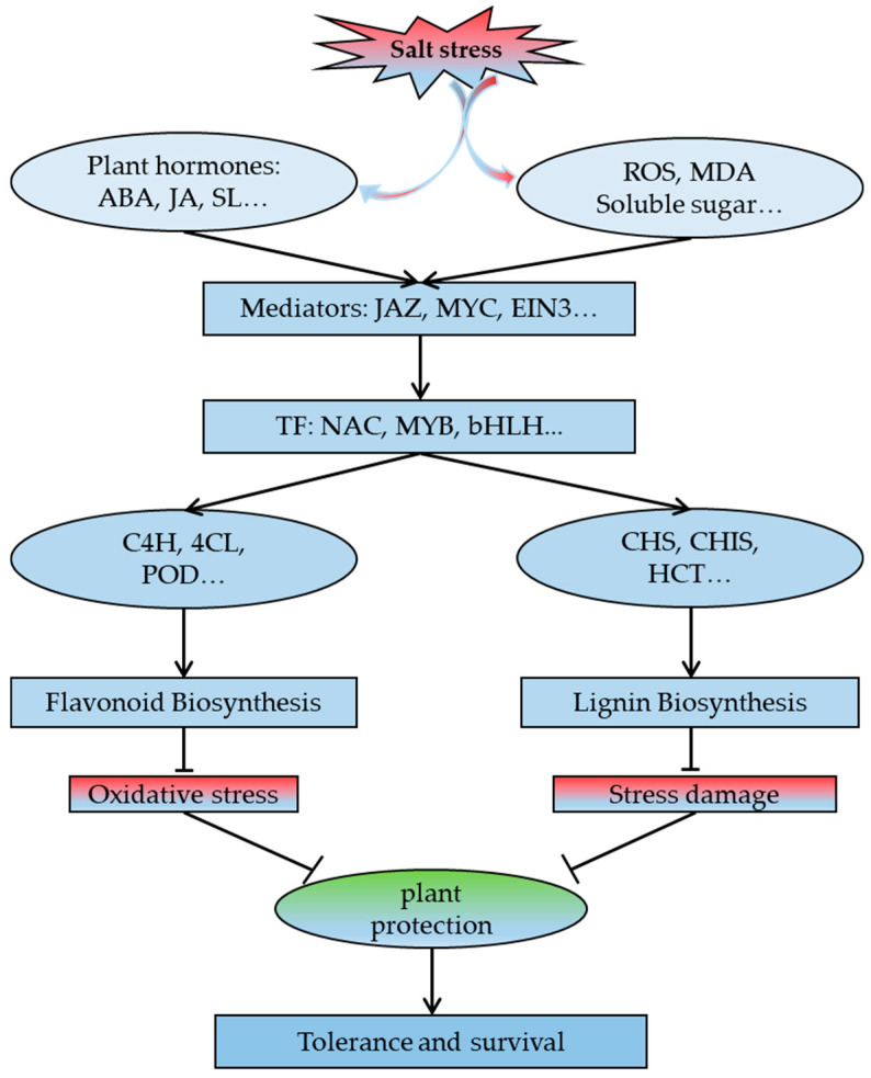 Figure 9