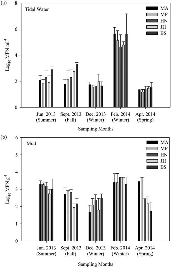 FIG 1