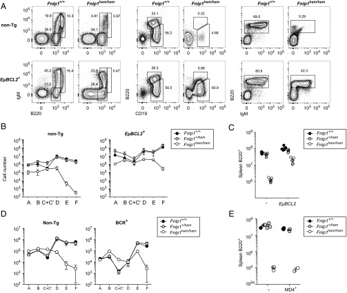 Fig. 3.