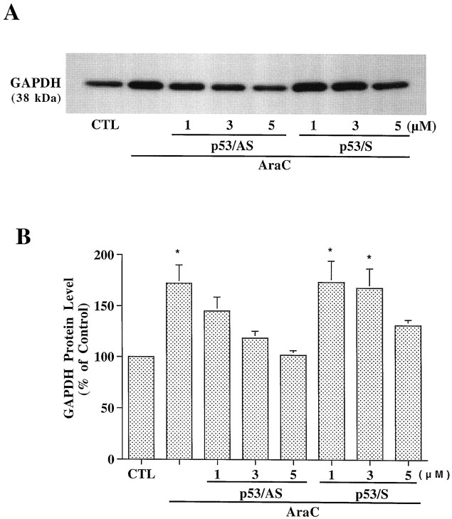 Fig. 9.